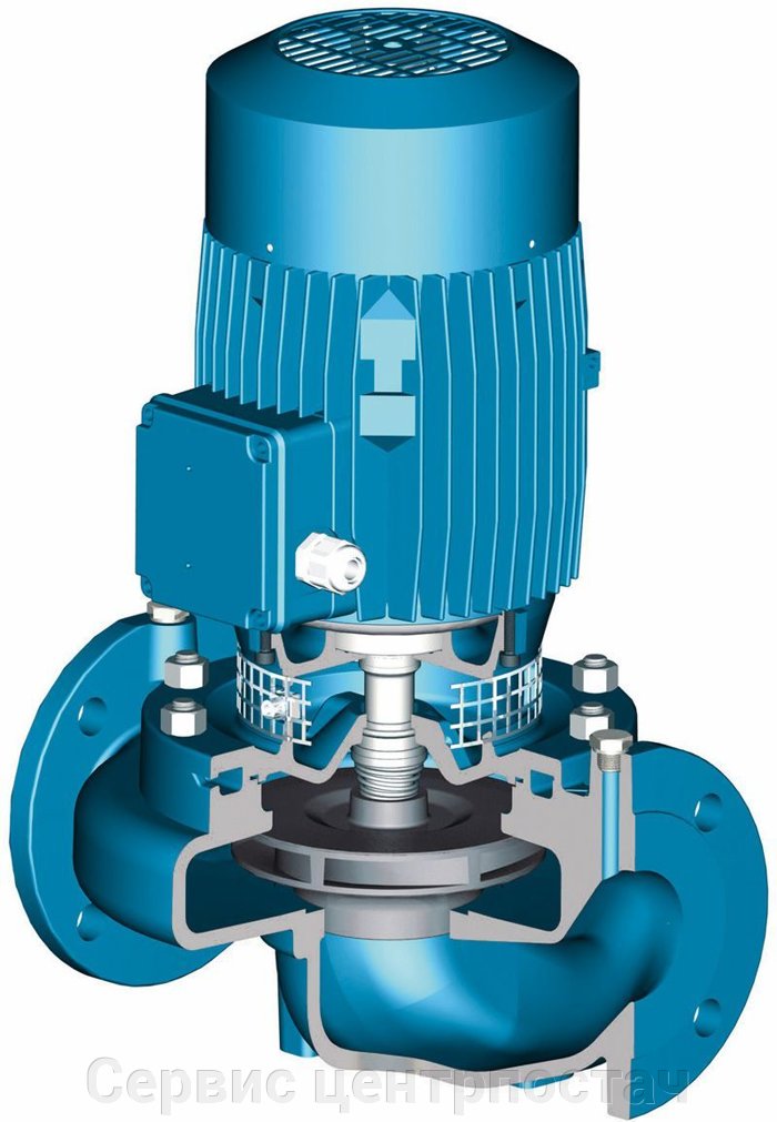 Вертикальный циркуляционный насос. Насос циркуляционный Calpeda Nr 50/125 c/a. Циркуляционный насос Calpeda NRM 50 D/A. Calpeda Nr 50/200b/a. Насосы Калпеда nr4 40/160b.
